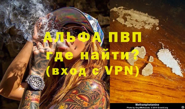 крисы Богданович