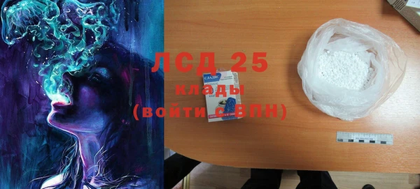 прущие грибы Снежногорск