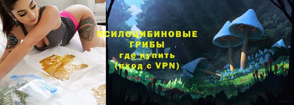 прущая мука Верея