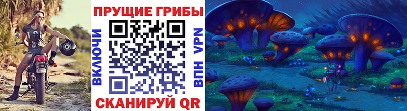 Галлюциногенные грибы Psilocybine cubensis  Донской 